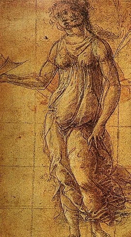 Étude pour Pallade de Sandro Botticelli